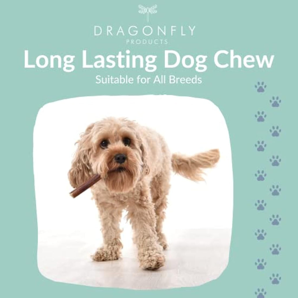 Dragonfly Products Beef Pizzle Bully Sticks - 10 Pack Natural Dog Chews