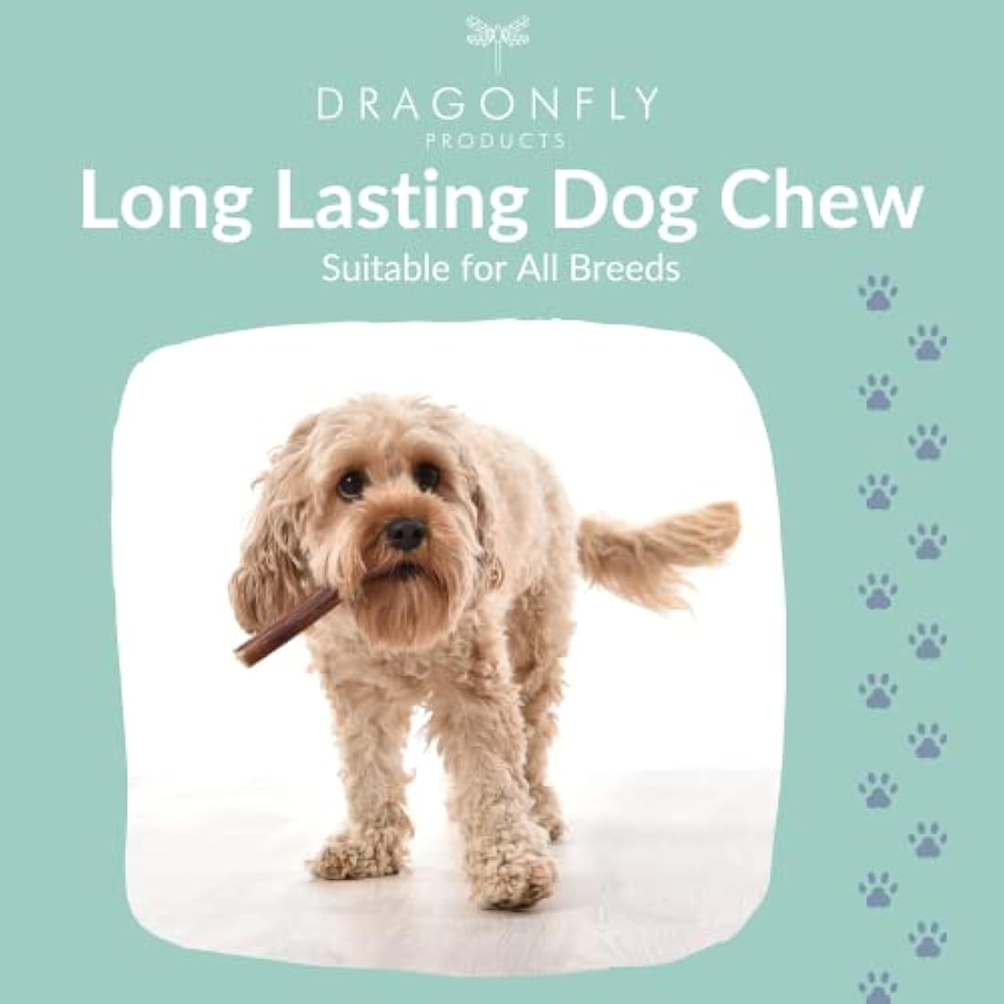 Dragonfly Products Beef Pizzle Bully Sticks - 10 Pack Natural Dog Chews