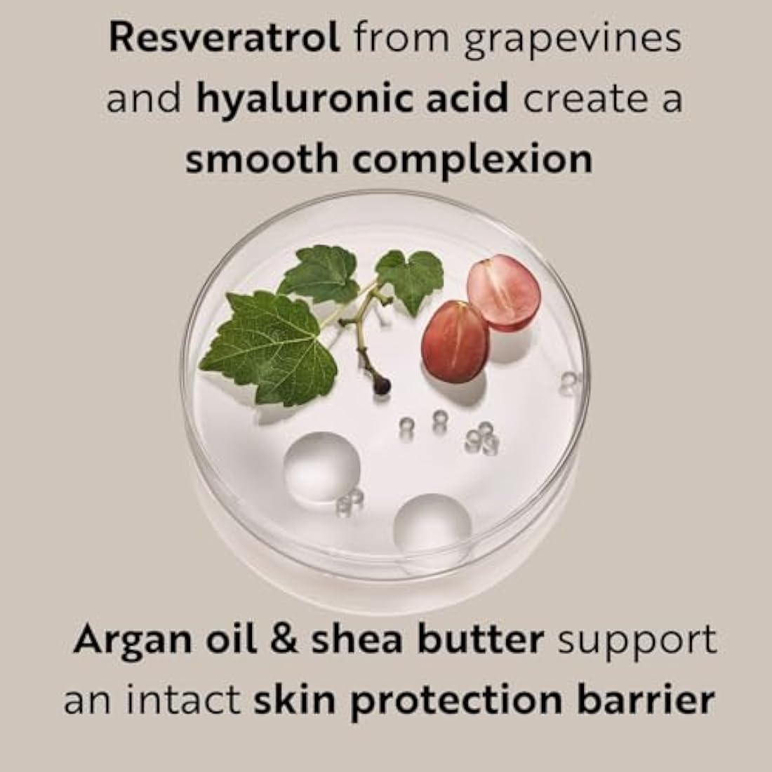 M. Asam Resveratrol Premium Lifting Cream – Vegan Anti-Aging Face Care