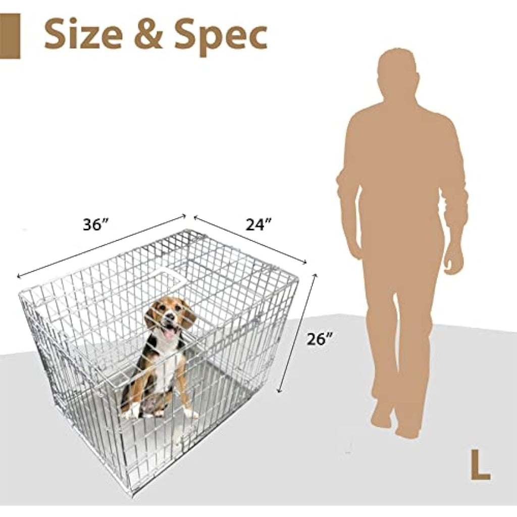 Ellie-Bo 36-inch Folding 2-Door Dog Crate | Silver Metal Training Cage