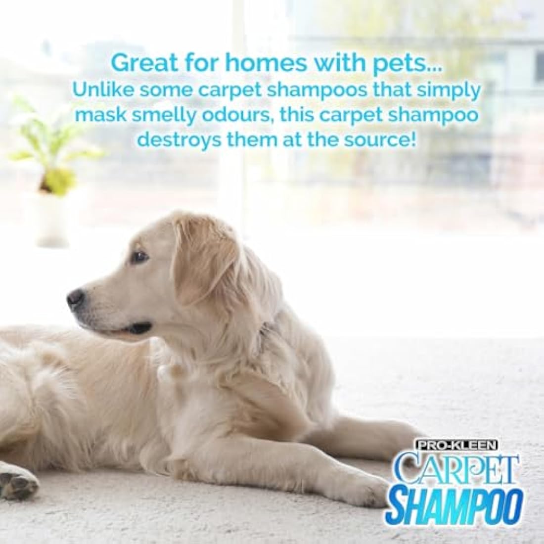 Pro-Kleen Professional Carpet & Upholstery Shampoo - Ocean Fresh 5L