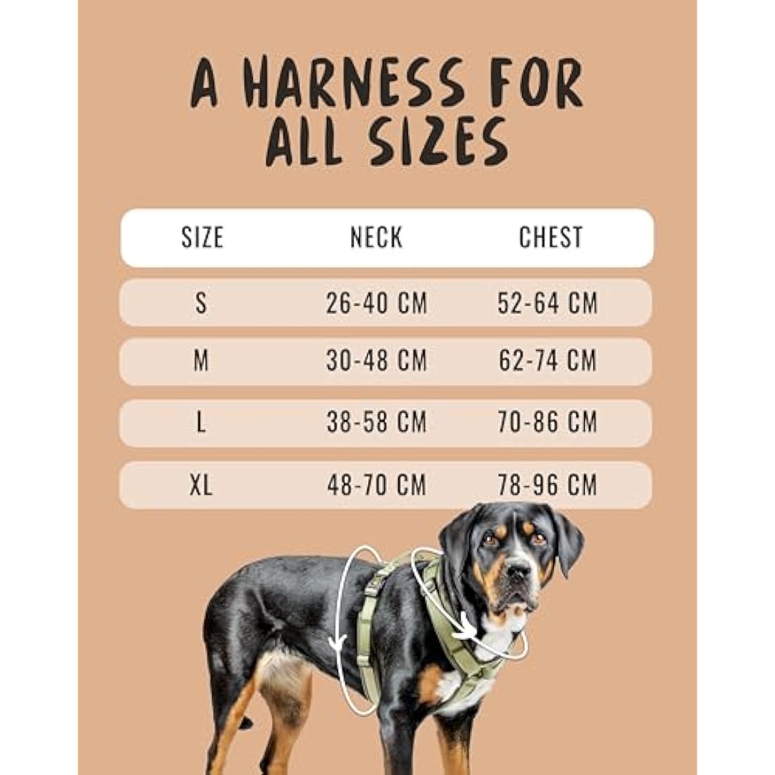 Rudelkönig Bella Dog Harness – No Pull Padded Escape Proof Chest Harness