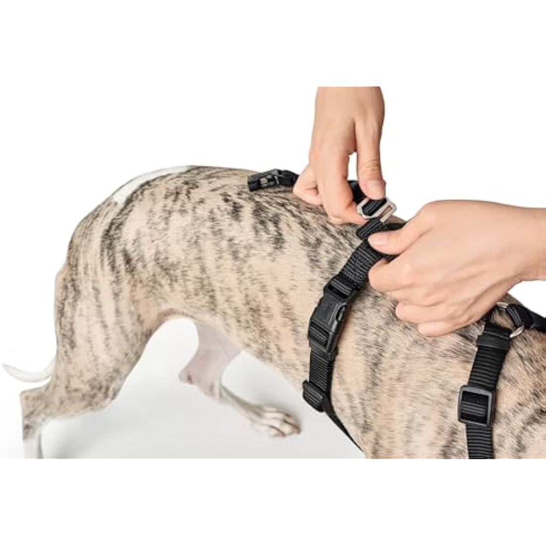 HUNTER Escape-Proof Dog Harness Vario Rapid – Black Nylon, Large
