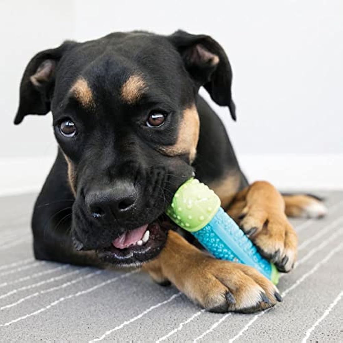 KONG CoreStrength Bone – Durable Dental Chew Toy for Small/Medium Dogs