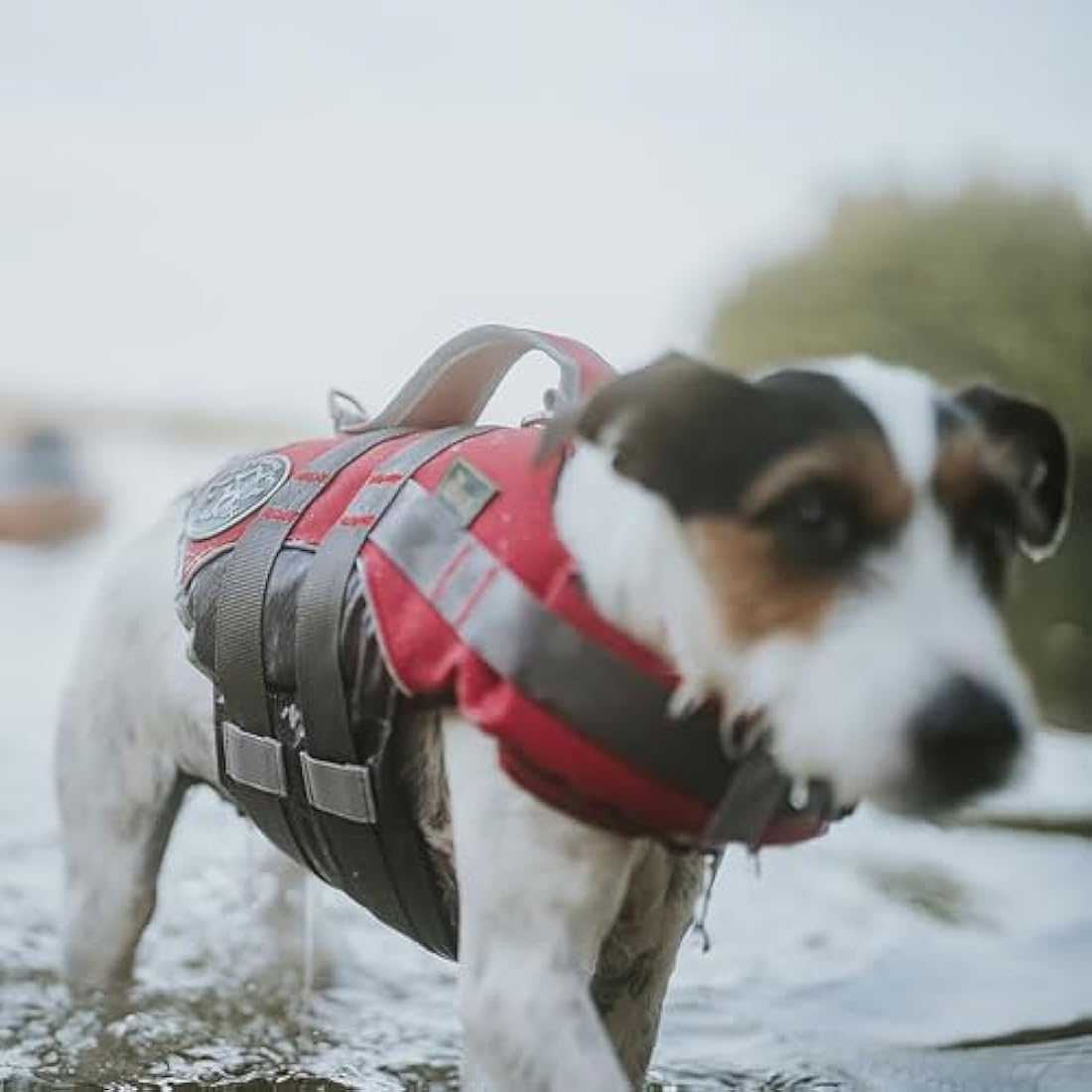 HUNTER Dog Swimming Vest – Red Adjustable Safety Lifejacket, Small