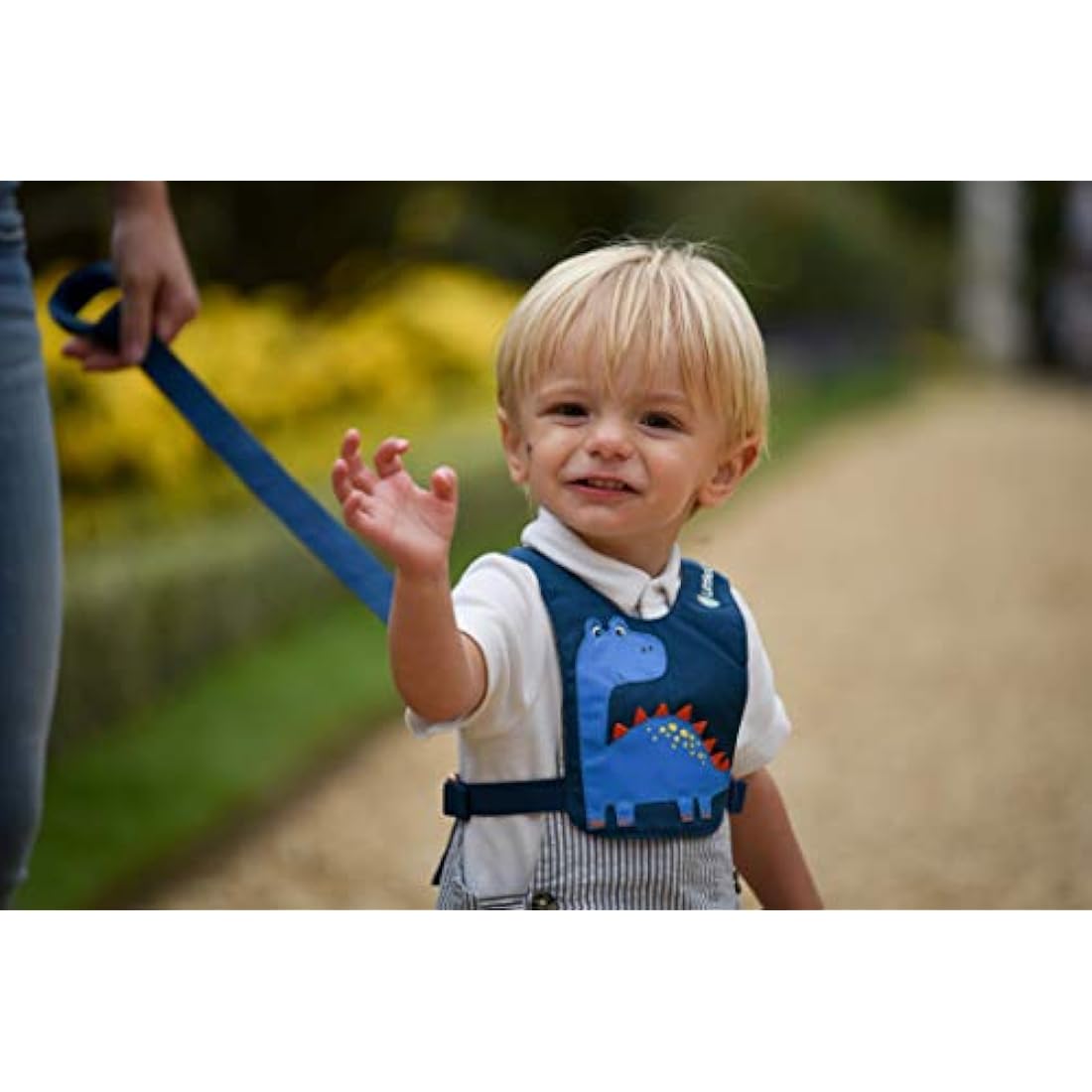 LittleLife Toddler Safety Walking Harness & Reins | Adjustable 1-3 Years