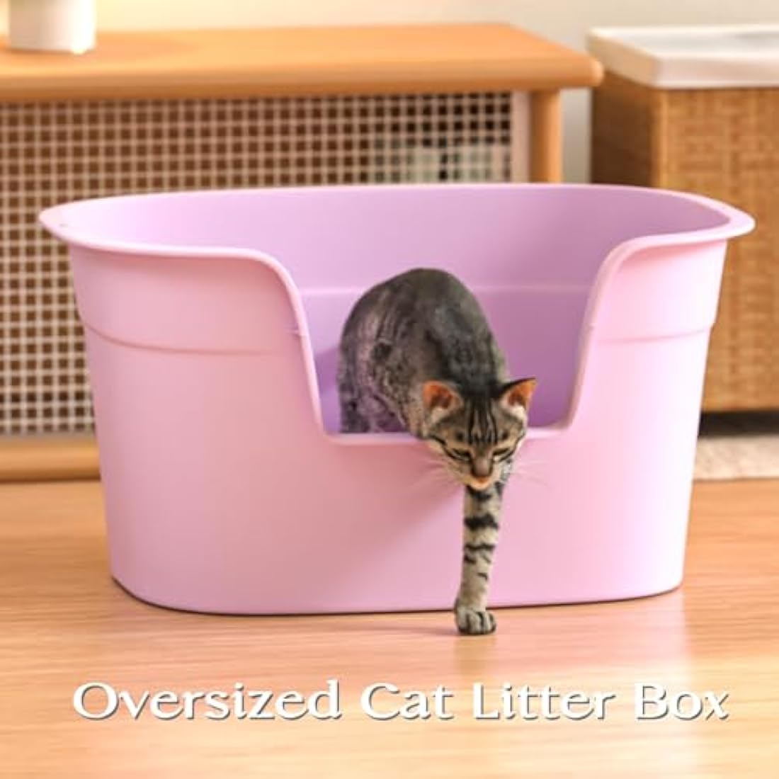 Jolof Store Extra Large Cat Litter Tray – High-Sided XL Box, Purple