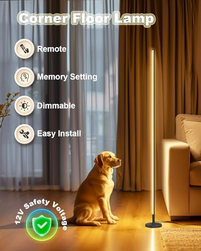 TACAHE Minimalist Corner Floor Lamp | Dimmable LED Mood Light with Remote