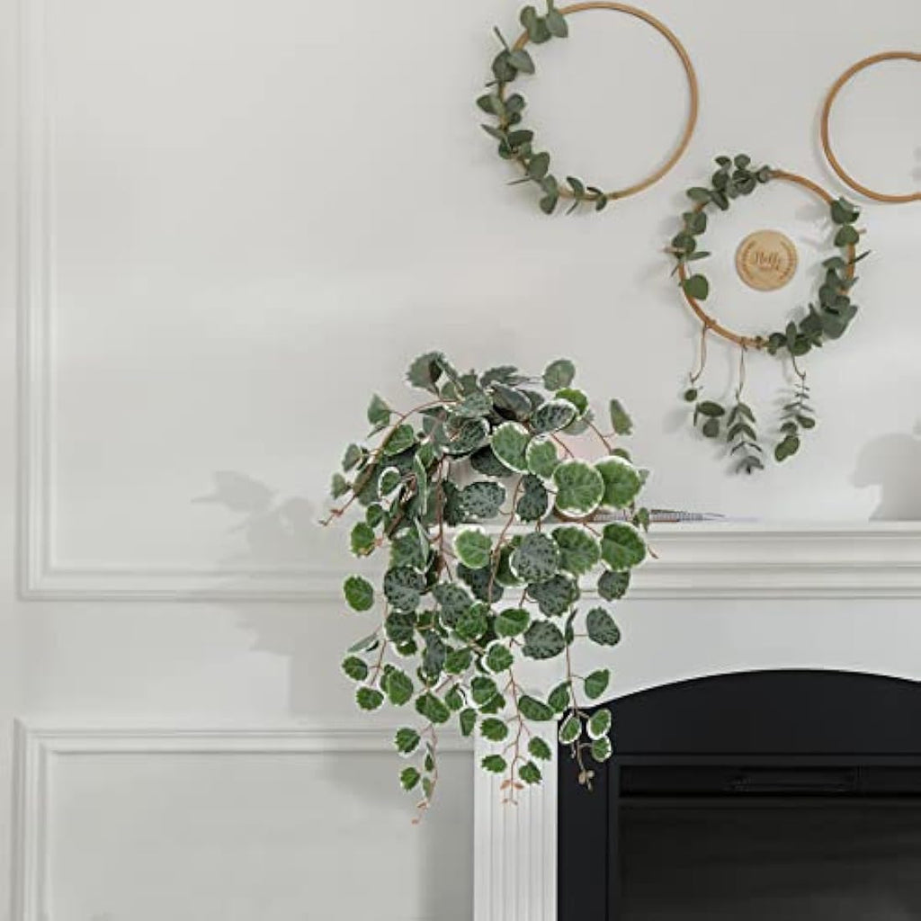 Hollyone Artificial String of Hearts Potted Plant – Faux Trailing Greenery