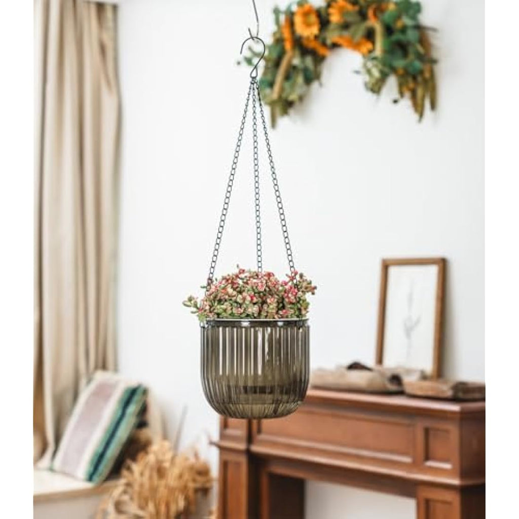 6.5" Self Watering Hanging Planters - 2 Pcs Clear PET Pots
