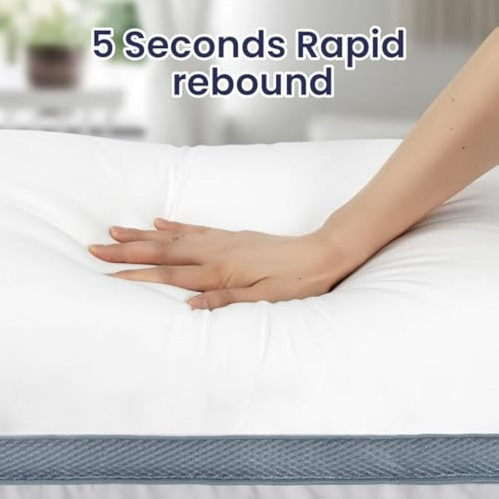 BedStory Hotel Quality Bed Pillows 2 Pack - Dark Gray Microfiber