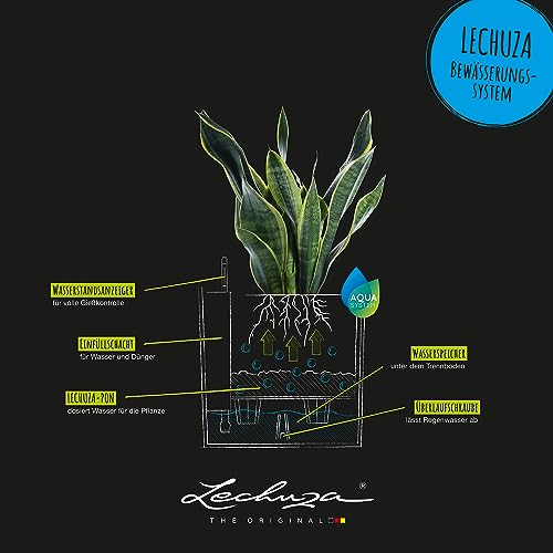 Lechuza Cube Cottage 30 Self-Watering Planter - Mocha Wicker Look