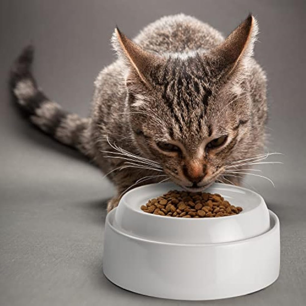 CatGuru Ceramic Cat Bowls – Whisker Fatigue Relief Shallow Dish, Set of 2