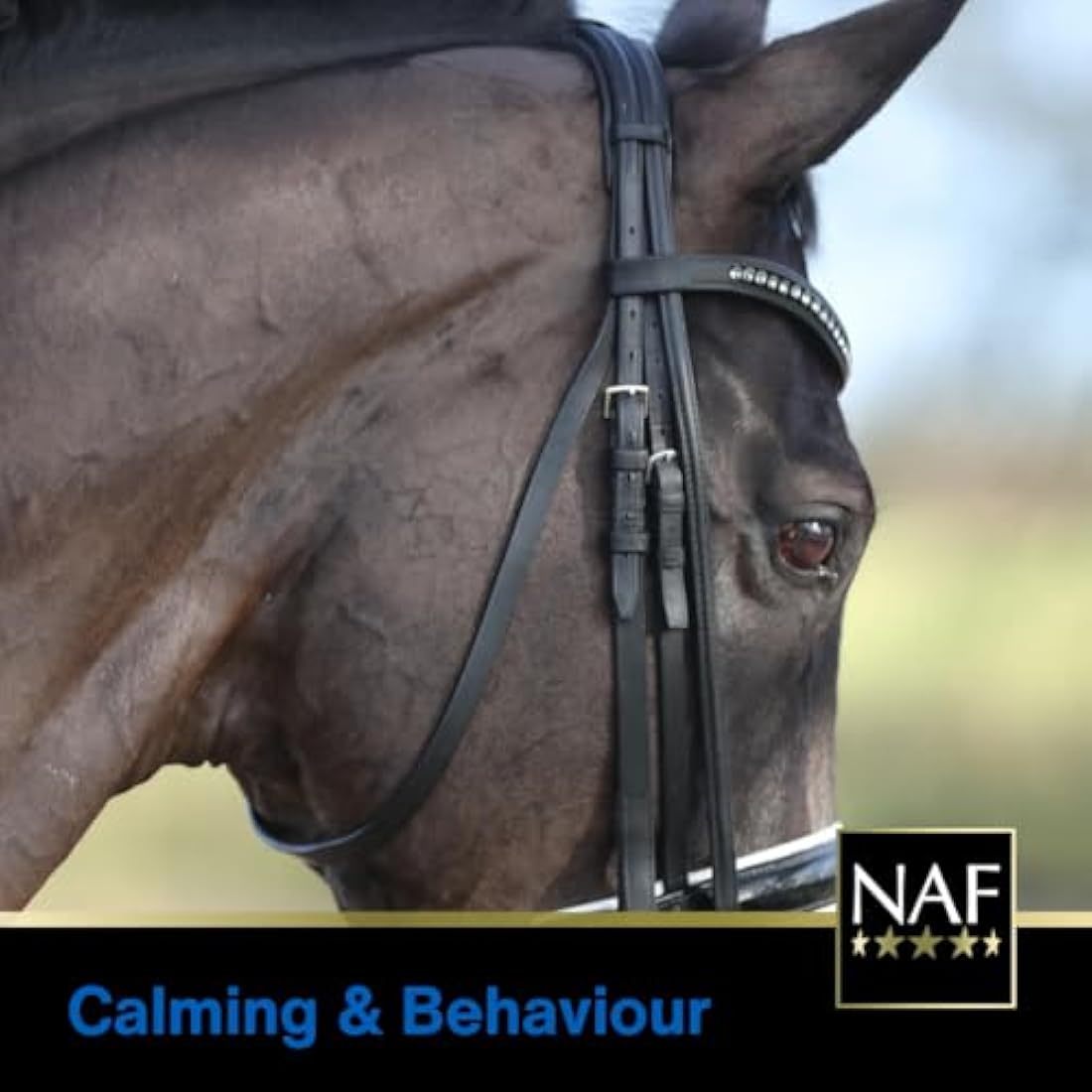 NAF Five Star Oestress 500g – Hormonal Support Supplement for Mares