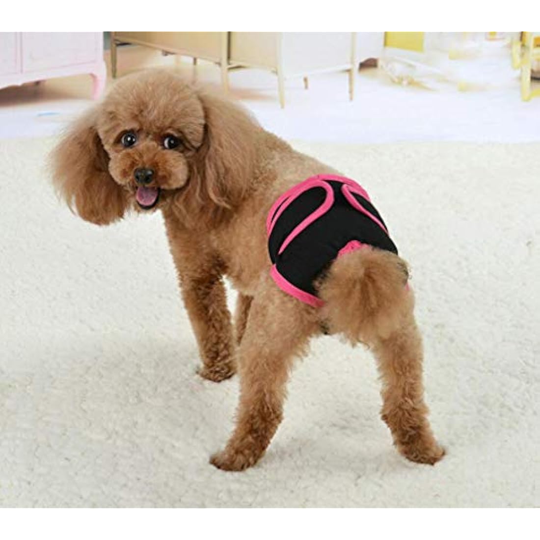 Diyafas Reusable Female Dog Diapers – 2 Pack Washable Sanitary Pants