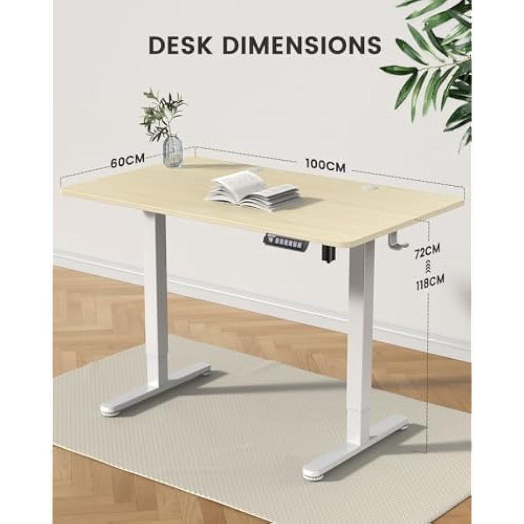ErGear Electric Standing Desk – 100x60cm Height Adjustable Sit Stand