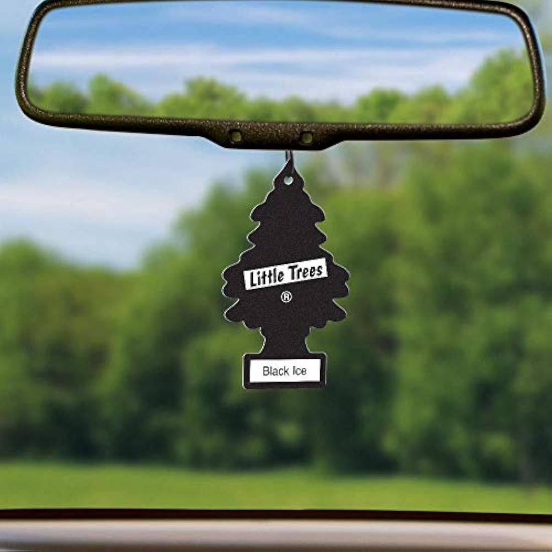 Little Trees Black Ice Air Freshener - Hanging Car Fragrance - 24 Pack