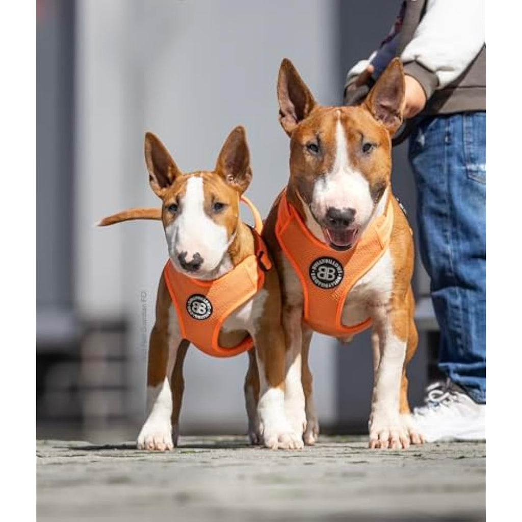 BullyBillows Active Light Dog Harness | Reflective Padded - Grey XS