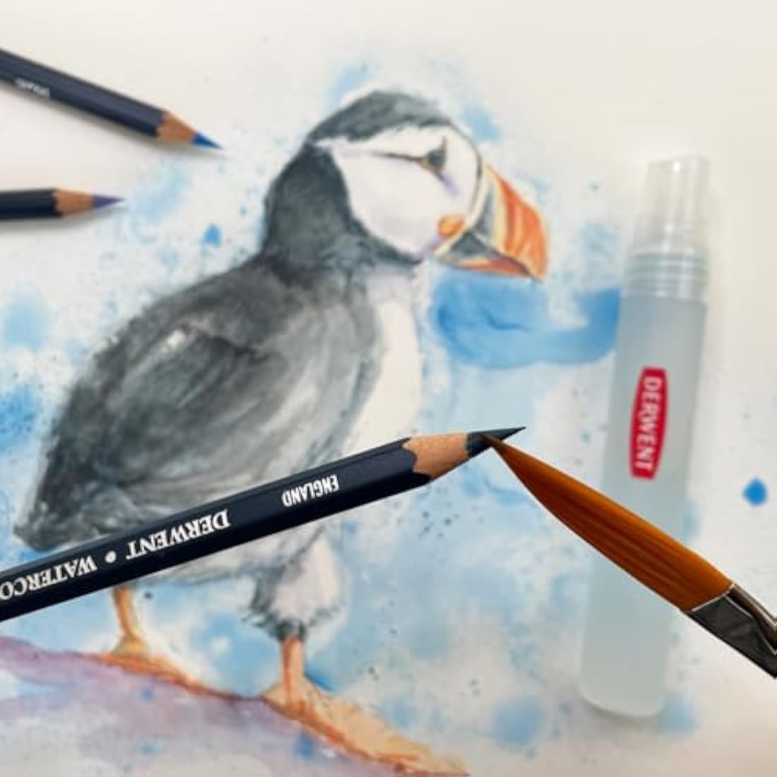 Derwent Watercolour Pencils - Professional Drawing Set of 24 - Tin