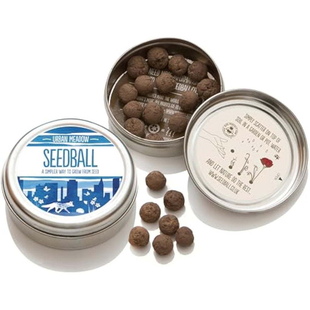 SEEDBALL Urban Meadow Wildflower Seed Bombs - 20 Native Flower Balls