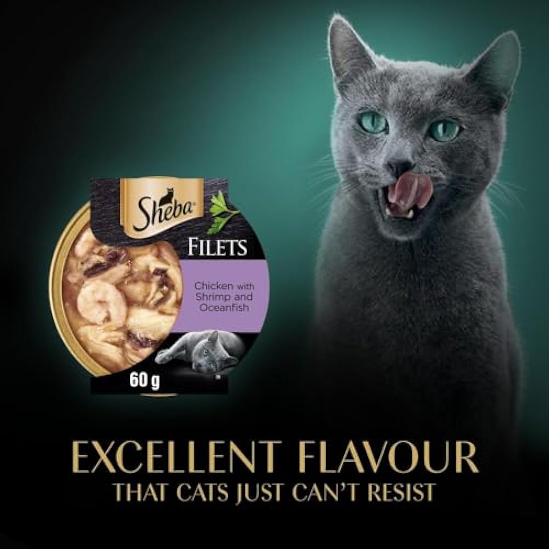 Sheba Wet Cat Food Trays | Chicken, Shrimp & Ocean Fish | 32 x 60g