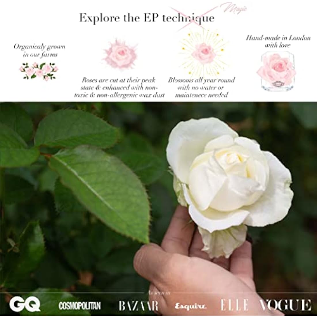 Eternal Petals Preserved Real Rose – Deep Red Infinity Rose in Gift Box