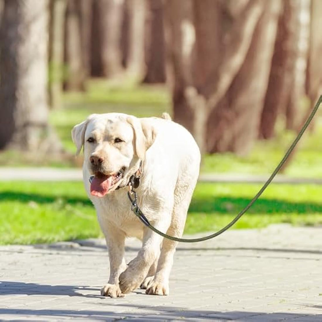 Jolof Store Dog Training Lead – 10ft Durable Rope Leash with Padded Handle