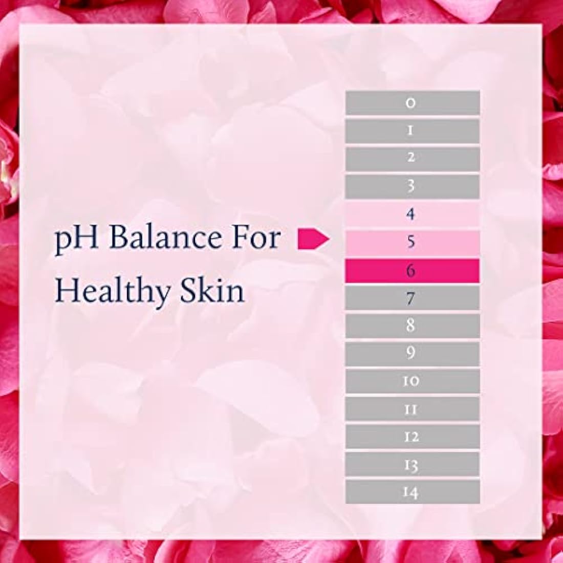 Blue Nectar Pure Rose Water Face Toner - Natural Pore Tightening Mist (200ml)