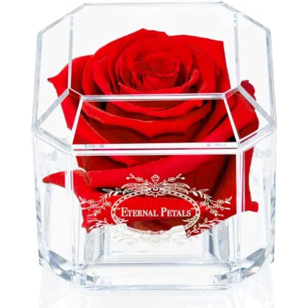 Eternal Petals Red Preserved Infinity Rose – Handmade White Gold Solo