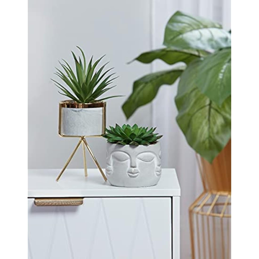 Jolof Store Halo Green Artificial Succulent in Faux Faces Pot – Small