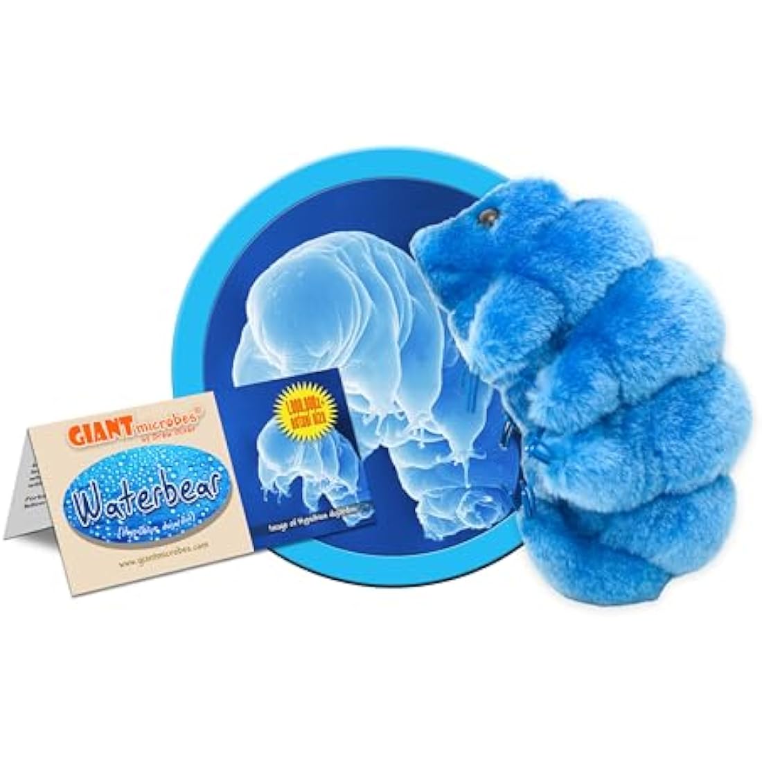 GIANTmicrobes Waterbear Tardigrade Plush – Educational Science Toy