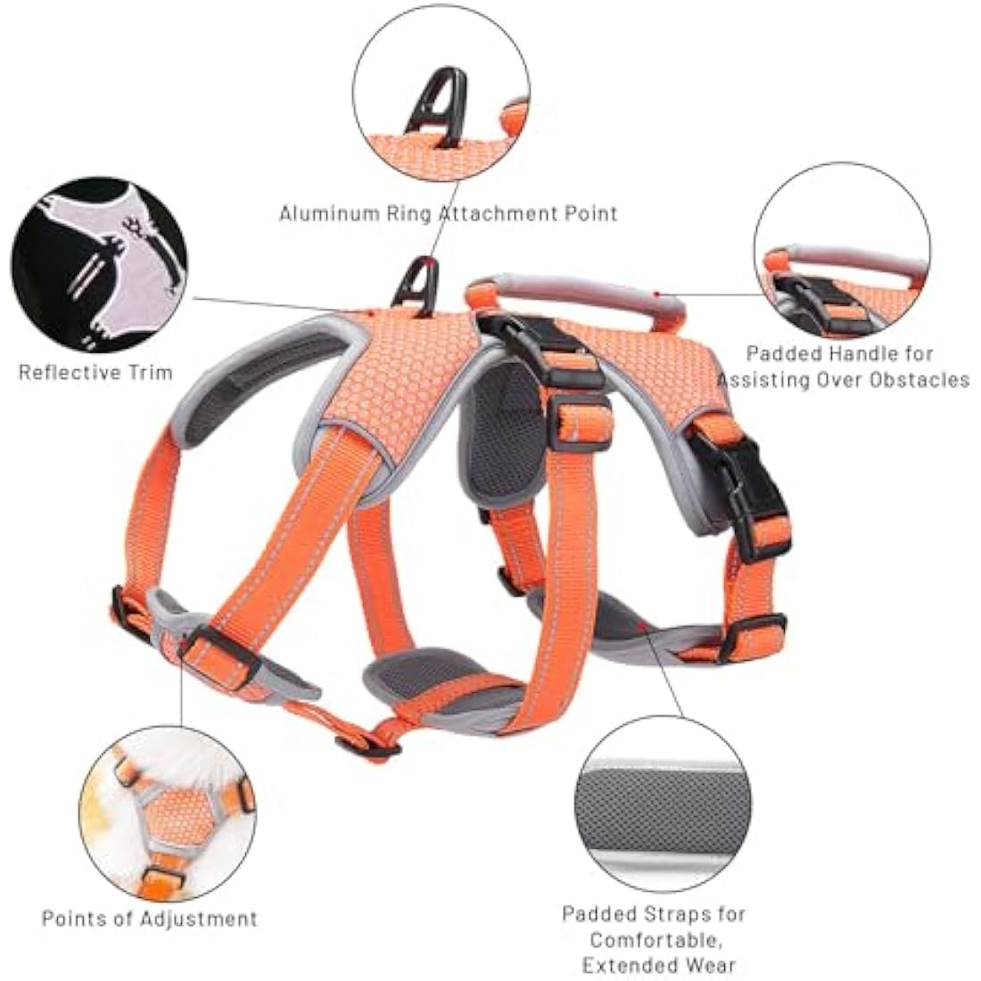 BELPRO Escape Proof Dog Harness – Reflective No Pull Support Vest, Orange, S