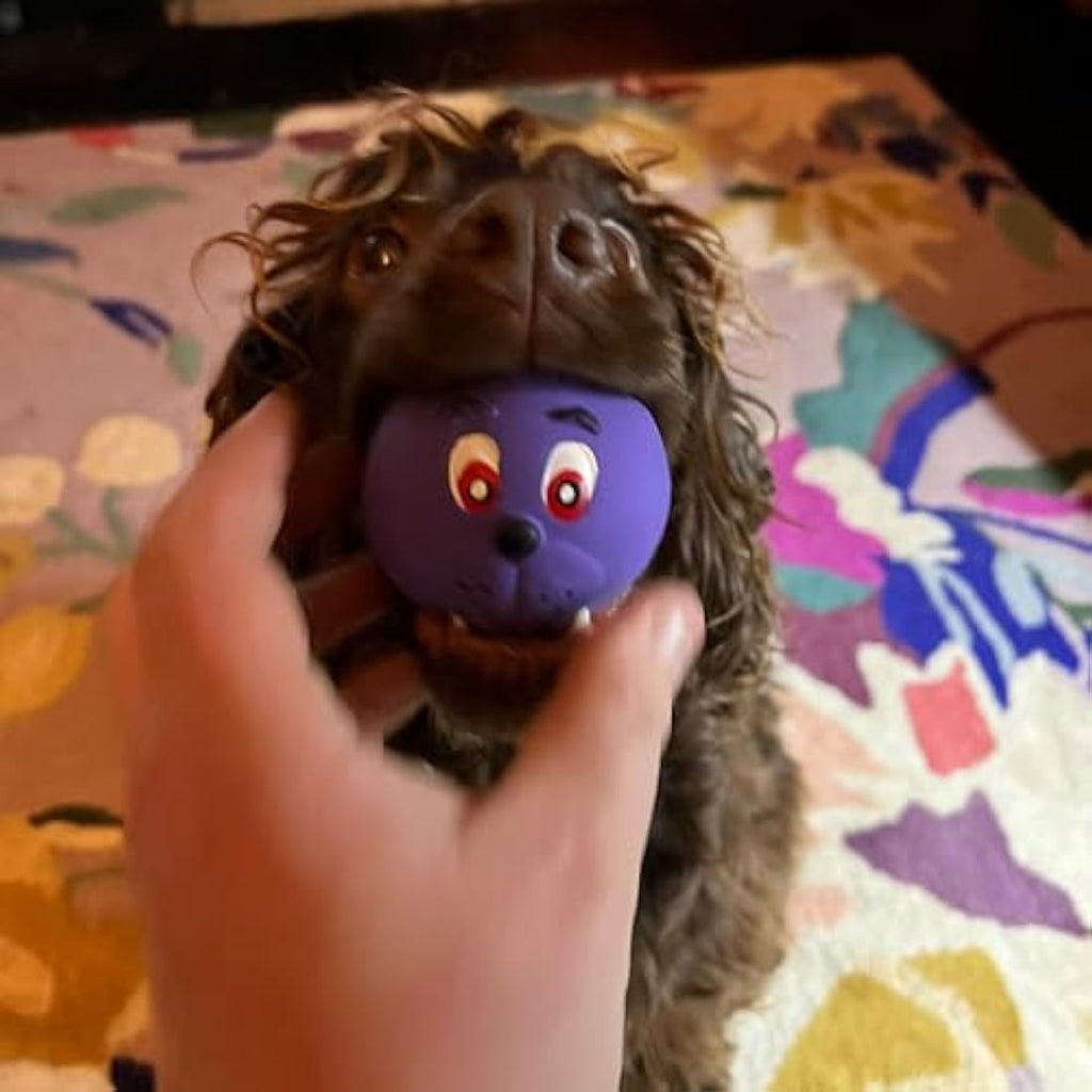 Jolof Store Latex Squeaky Face Balls – 6 Pack Soft Puppy Dog Toys