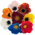 10 Stem Artificial Poppy Flowers | UV Resistant PU Wildflowers