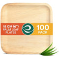 Jolof Store 100ct Palm Leaf Plates – 6 Inch Square Compostable Tableware