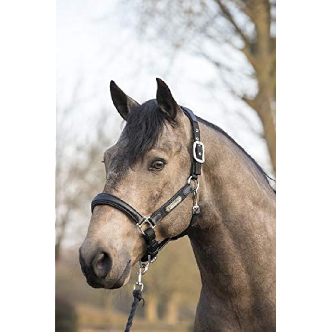 LeMieux Bug Relief Fly Mask – UV Protection & Breathable Mesh Ears