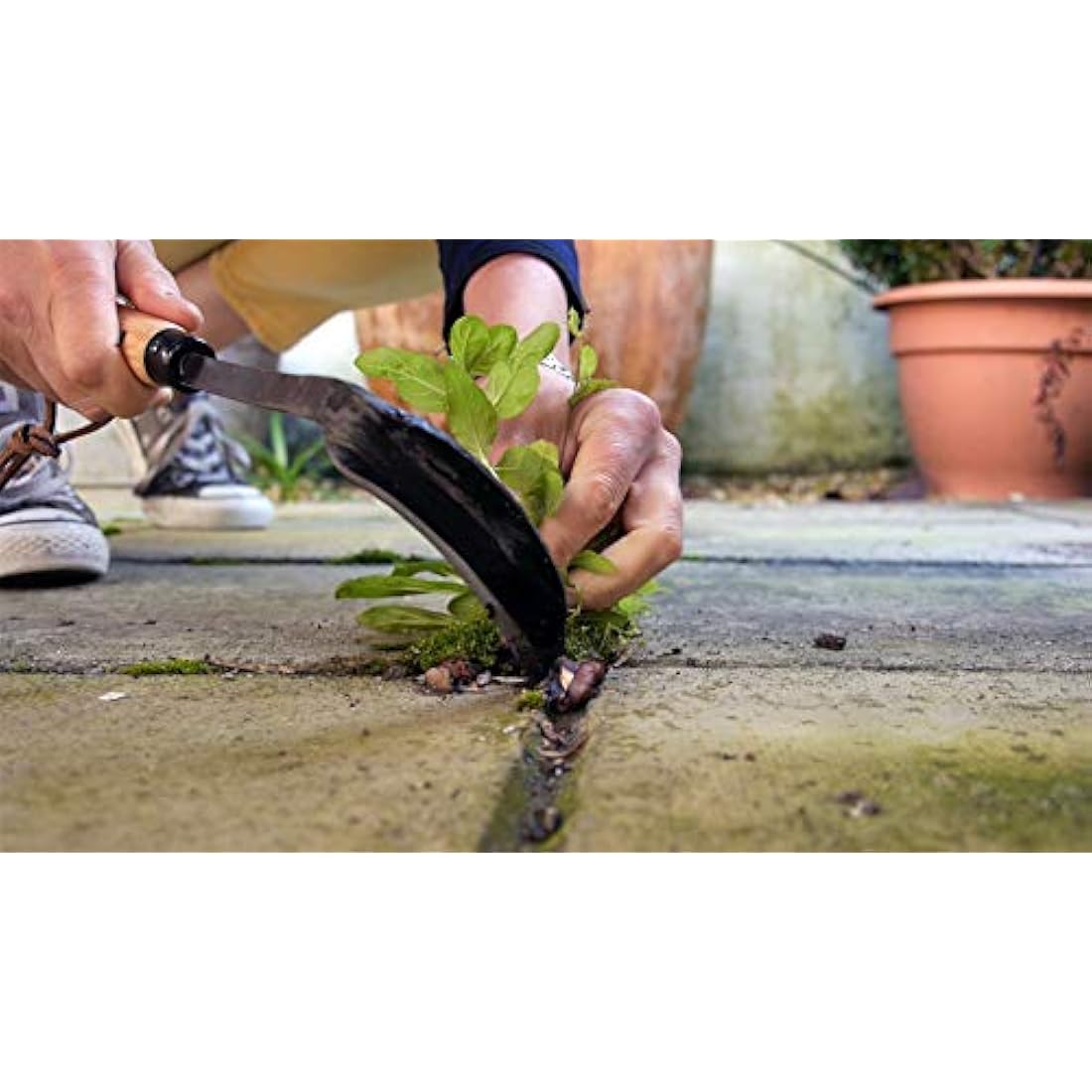 Burgon and Ball Razor Hoe – Right Handed Garden Weeding Hand Tool