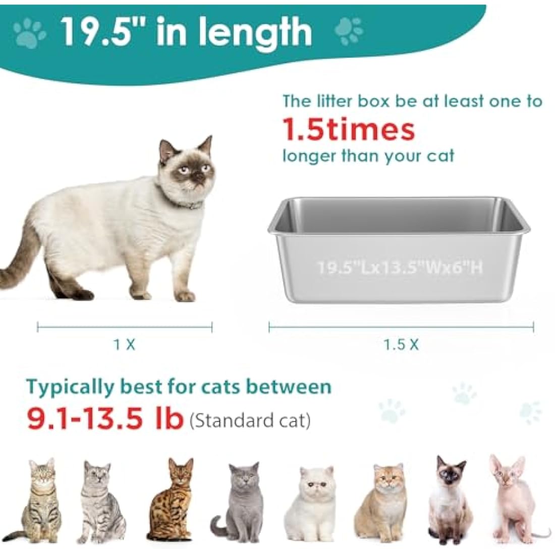 IKITCHEN Stainless Steel Cat Litter Box – Large Odor-Free Metal Pan