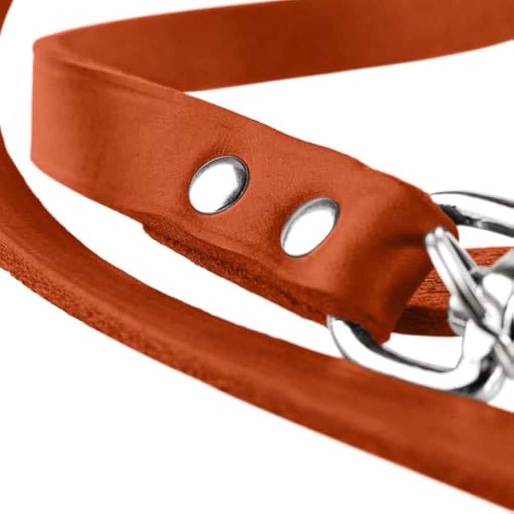 Hunter Training Leash | Soft Genuine Cow Leather Dog Lead, Black