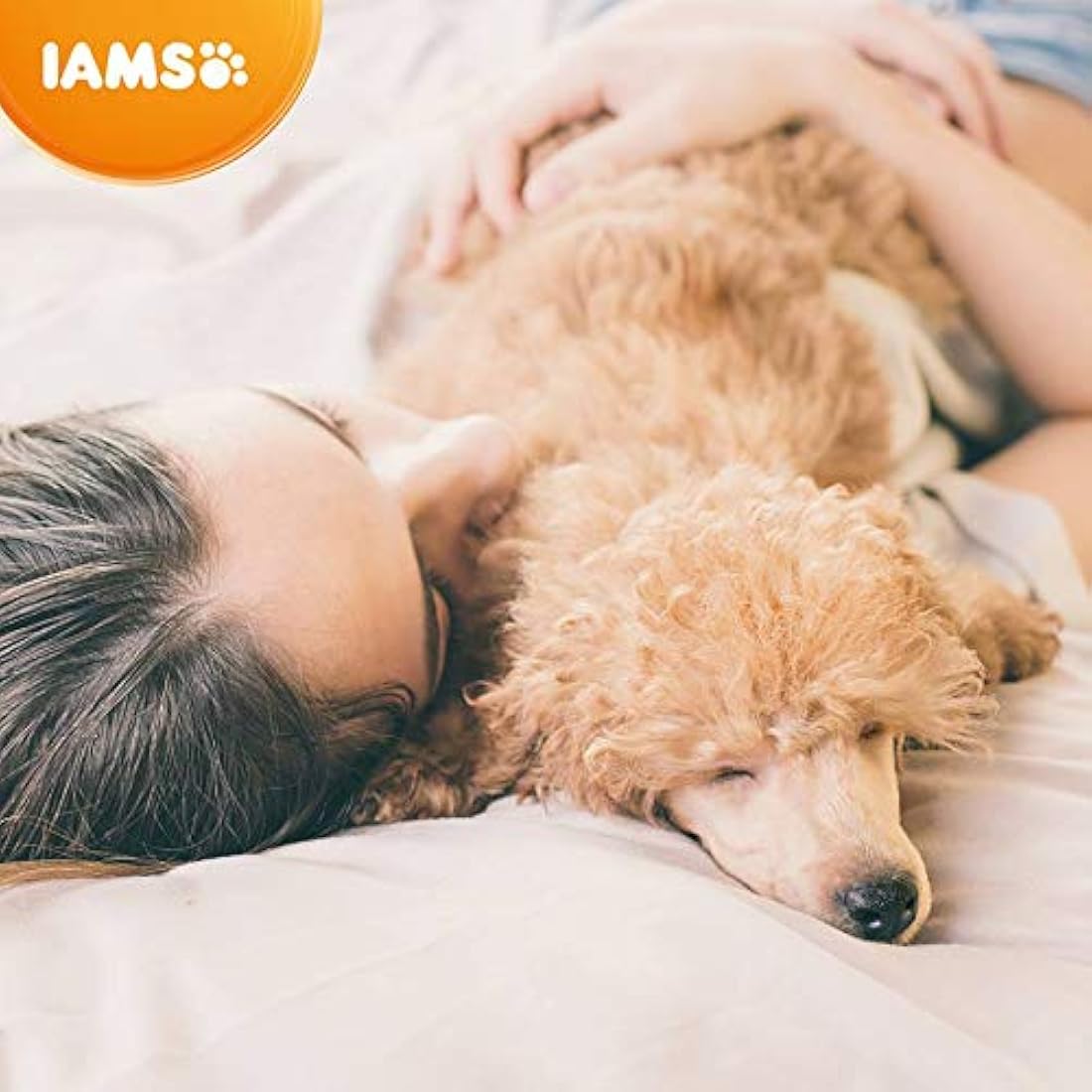 Iams Vitality Senior Dry Dog Food - Fresh Chicken for Small Breeds, 2kg