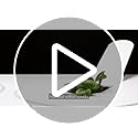 Smart Garden Indoor Herb Kit with LED Grow Lights - White