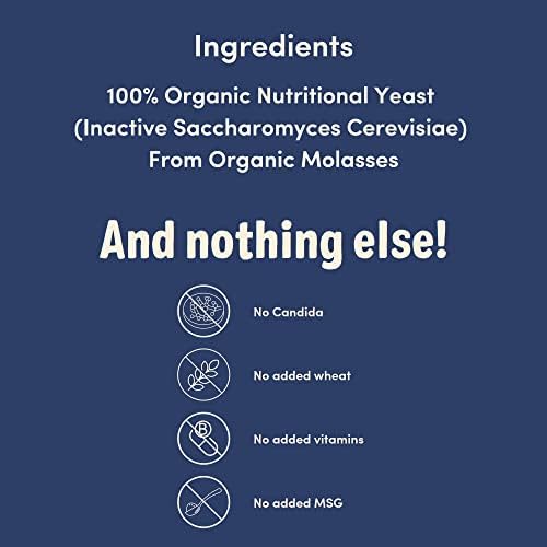 Twinbergs Organic Non-Fortified Nutritional Yeast Flakes – 800g Nooch