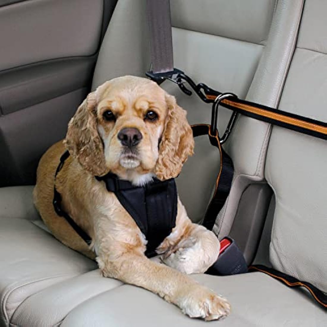 Kurgo Dog Auto Zip Line – Adjustable Car Safety Restraint & Leash Tether