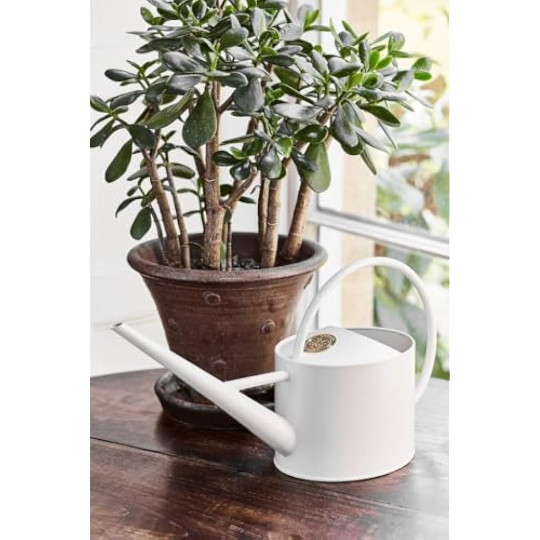 Burgon & Ball Indoor Long Reach Watering Can | 1.7L Galvanized Steel