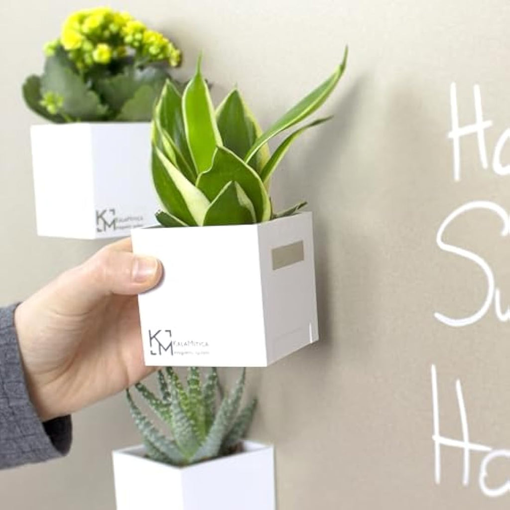 KalaMitica Magnetic Storage Cubes – Set of 3 Planter Pots for Walls