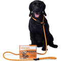 Padded Slip Lead – 1.8m Anti-Pull Rope Dog Training Leash