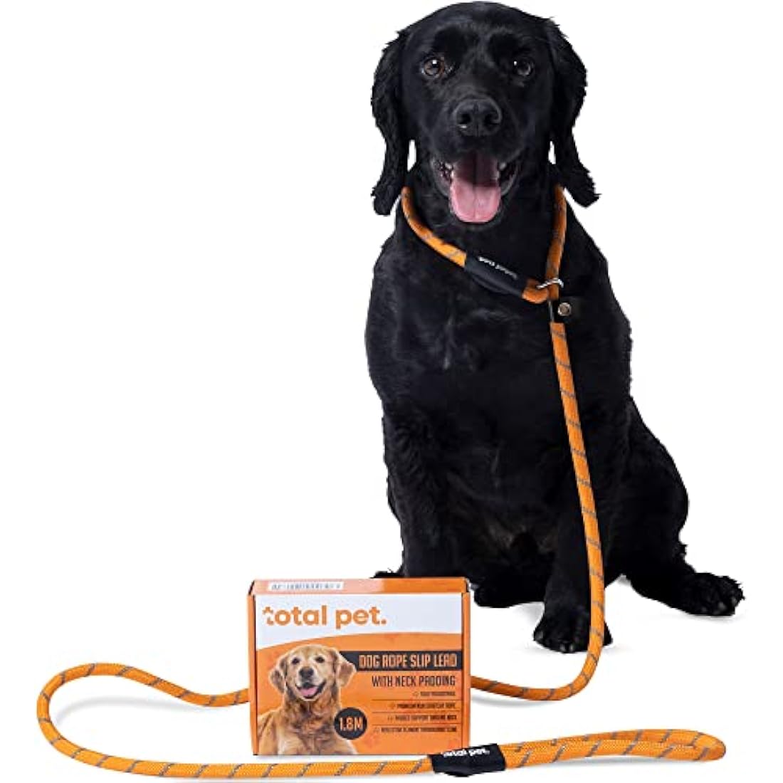 Padded Slip Lead – 1.8m Anti-Pull Rope Dog Training Leash