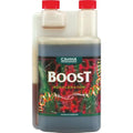 Canna Boost Accelerator Liquid 1L – Flower Stimulant & Yield Enhancer