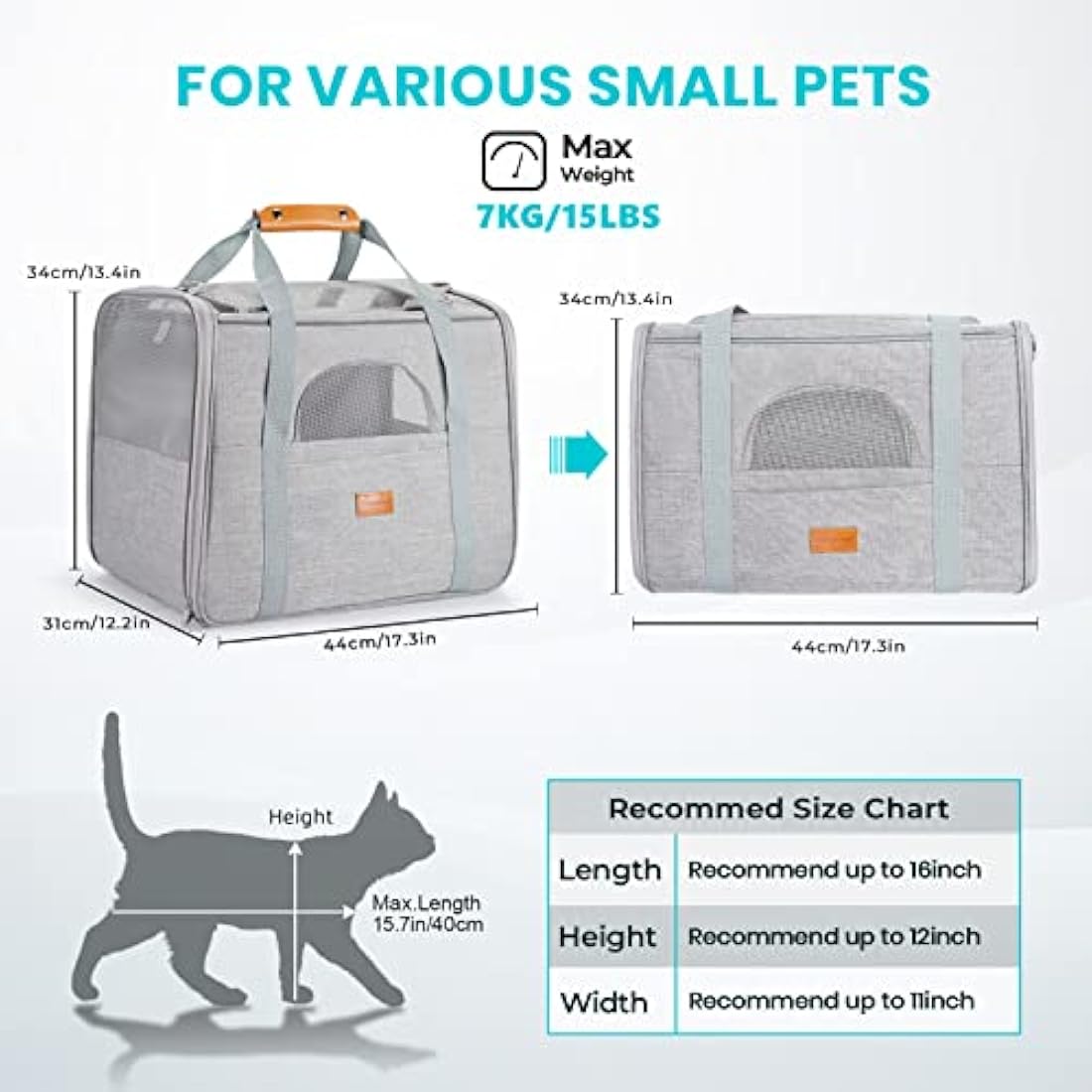 Morpilot Airline Approved Pet Carrier – Breathable Cat & Dog Travel Bag