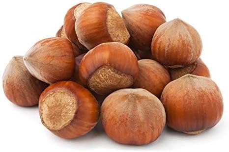 Jolof Store Raw Hazelnuts in Shell – 100% Natural Polish Nuts – 5 kg